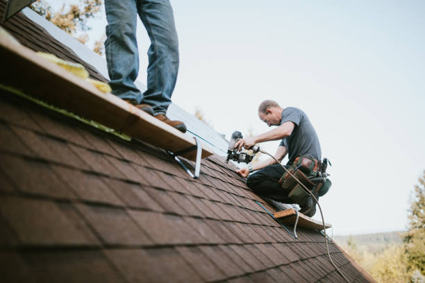 Best Roof Gutter Cleaning  in Parker, AZ