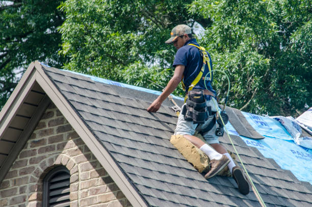 Best Local Roofing Companies  in Parker, AZ